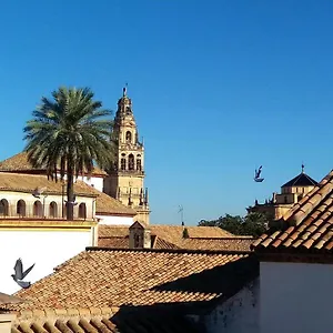 la-mirada-de-la-juderia.es-andalucia.com/